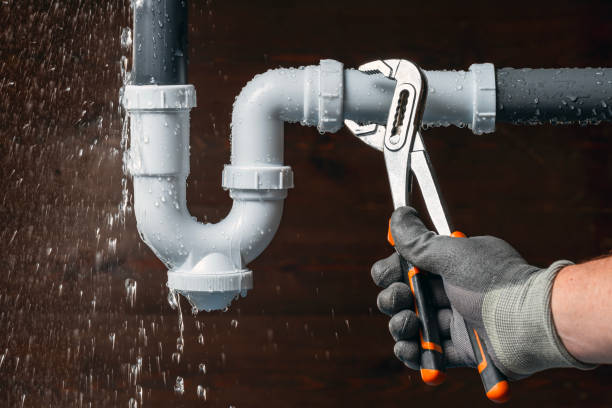 Professional Plumbing technician working in Coloma, MI
